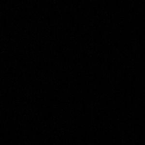 Meet your Posher, Tamara